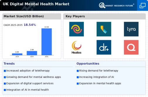 UK Digital Mental Health Market Infographic