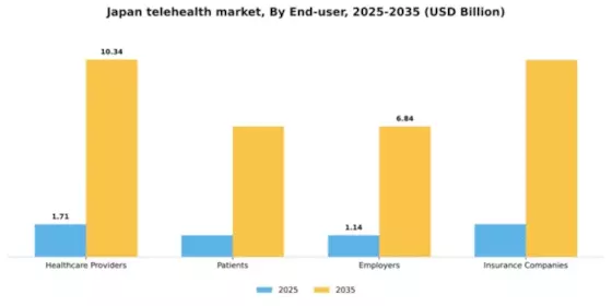 Japan Telehealth Market Segment Image 1