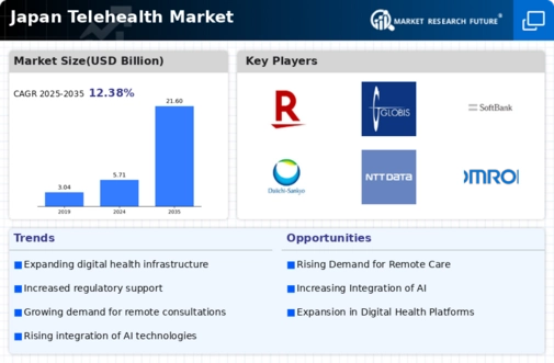 Japan Telehealth Market Infographic