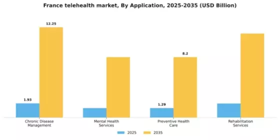 France Telehealth Market Segment Image 0