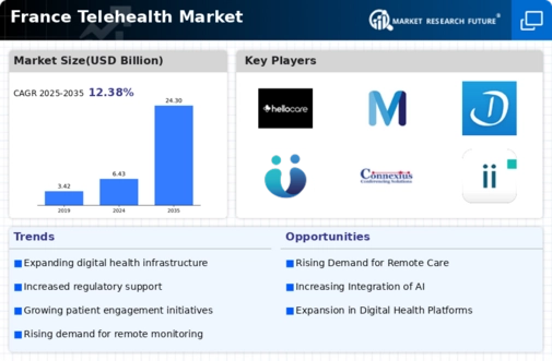 France Telehealth Market Infographic