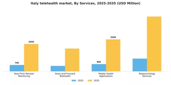 Italy Telehealth Market Segment Image 2