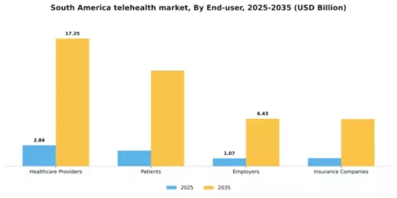 South America Telehealth Market Segment Image 1