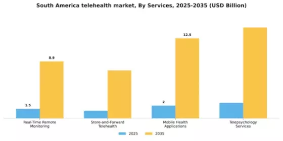 South America Telehealth Market Segment Image 2