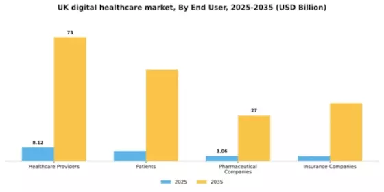 UK Digital Healthcare Market Segment Image 1