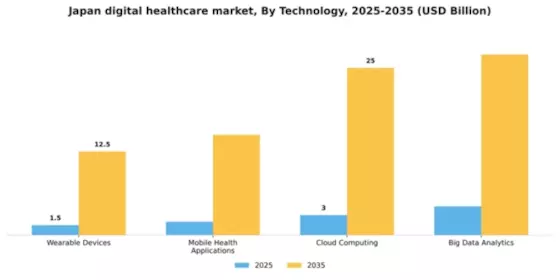 Japan Digital Healthcare Market Segment Image 3