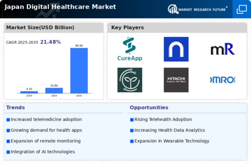 Japan Digital Healthcare Market Infographic