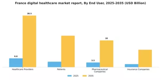 France Digital Healthcare Market Segment Image 1