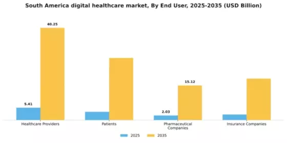 South America Digital Healthcare Market Segment Image 1