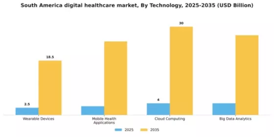 South America Digital Healthcare Market Segment Image 3
