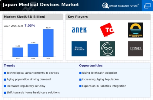Japan Medical Devices Market Infographic