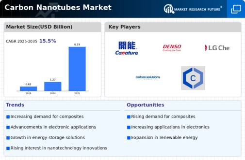 Carbon Nanotube Market Infographic
