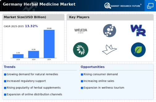 Germany Herbal Medicine Market Infographic