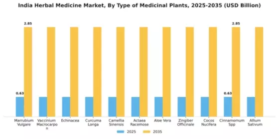 India Herbal Medicine Market Segment Image 4