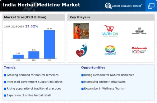 India Herbal Medicine Market Infographic