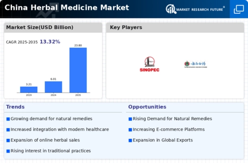 China Herbal Medicine Market Infographic