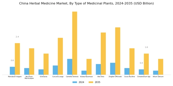 China Herbal Medicine Market Segment Image 3