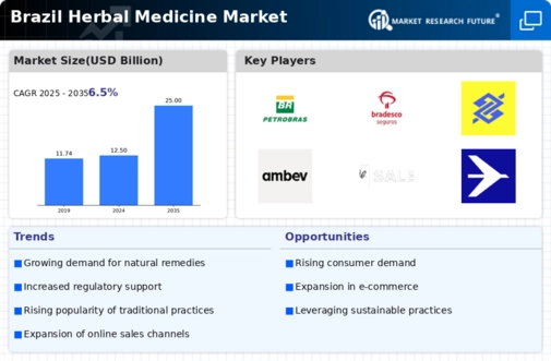 Brazil Herbal Medicine Market  Infographic