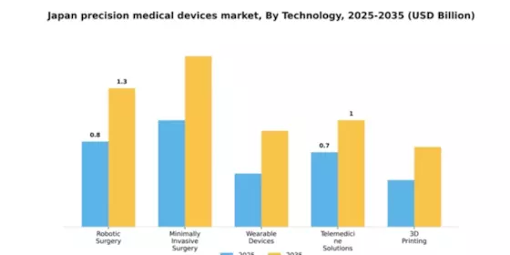 Japan Precision Medical Devices Market Segment Image 2