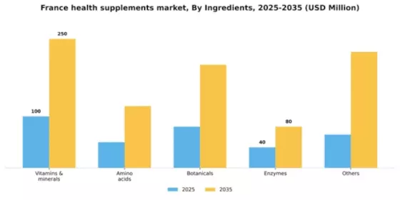 France Health Supplements Market Segment Image 2