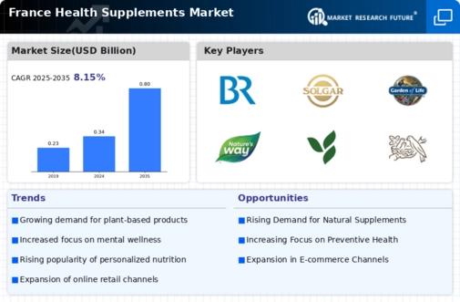 France Health Supplements Market Infographic