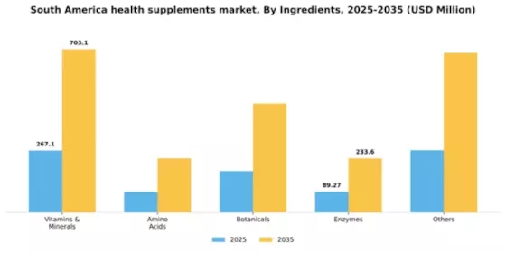 South America Health Supplements Market Segment Image 2