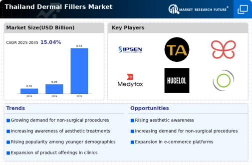 Thailand Dermal Fillers Market Infographic