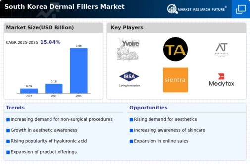 South Korea Dermal Fillers Market Infographic