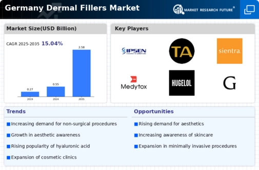 Germany Dermal Fillers Market Infographic