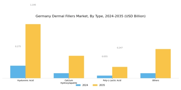 Germany Dermal Fillers Market Segment Image 0
