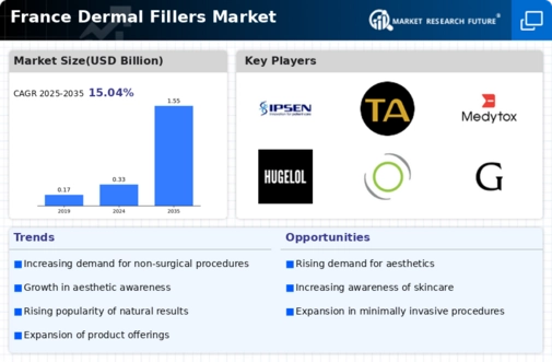 France Dermal Fillers Market Infographic