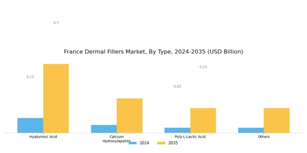 France Dermal Fillers Market Segment Image 0