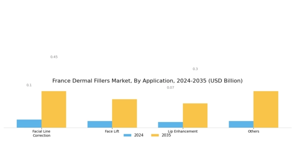 France Dermal Fillers Market Segment Image 1