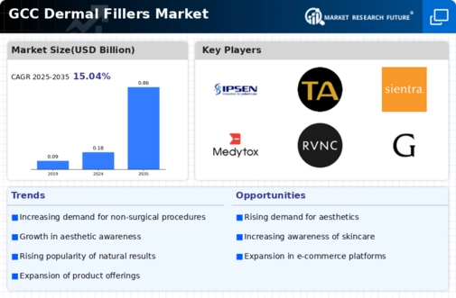 GCC Dermal Fillers Market Infographic