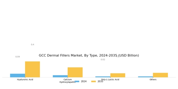GCC Dermal Fillers Market Segment Image 0