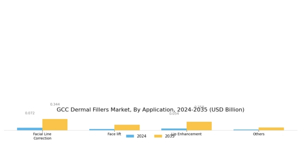 GCC Dermal Fillers Market Segment Image 1