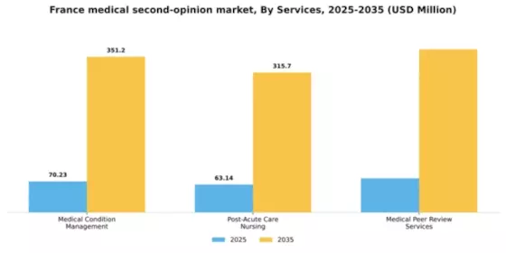 France Medical Second Opinion Market Segment Image 1