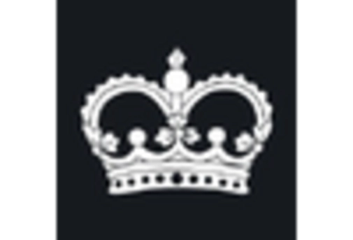 UK Sex Tech Market key player