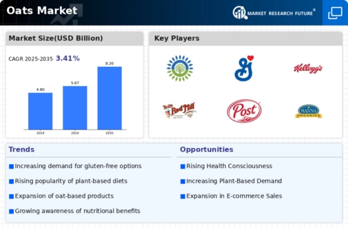 Oats Market Infographic