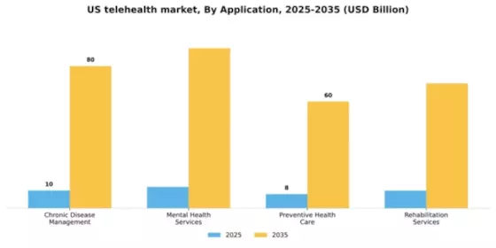 US Telehealth Market Segment Image 0