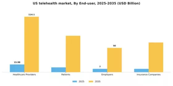 US Telehealth Market Segment Image 1