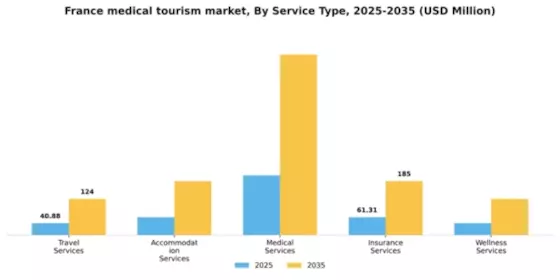 France Medical Tourism Market Segment Image 2