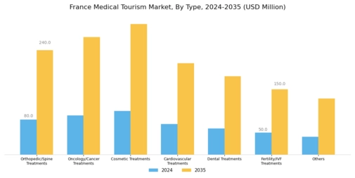France Medical Tourism Market Segment Image 0