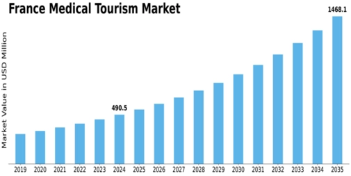 France Medical Tourism Market Size