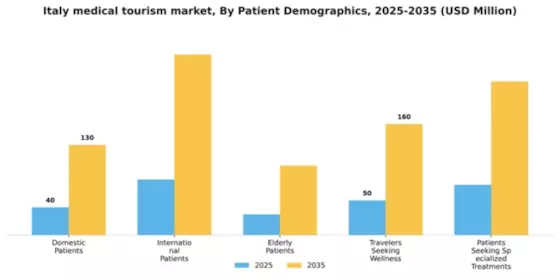 Italy Medical Tourism Market Segment Image 1