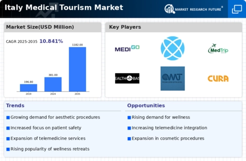 Italy Medical Tourism Market Infographic