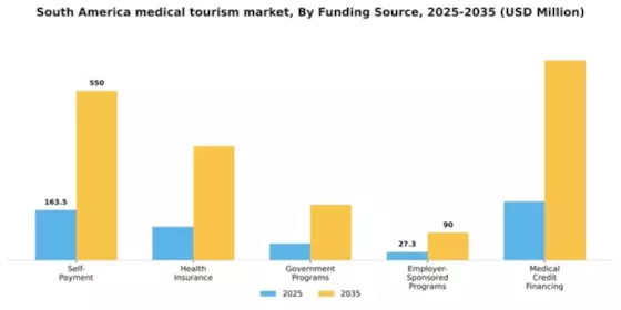 South America Medical Tourism Market Segment Image 0