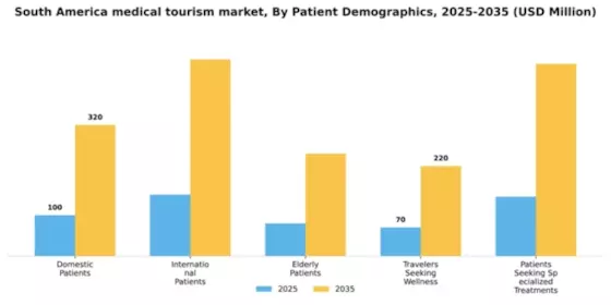 South America Medical Tourism Market Segment Image 1
