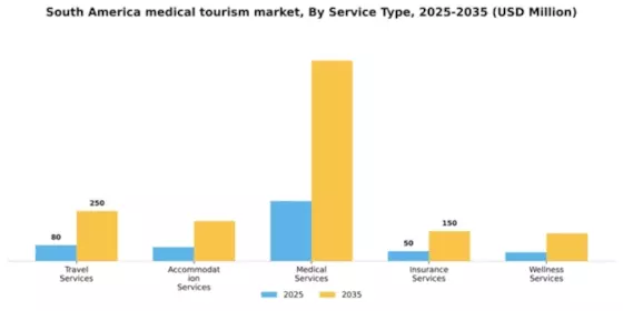 South America Medical Tourism Market Segment Image 2