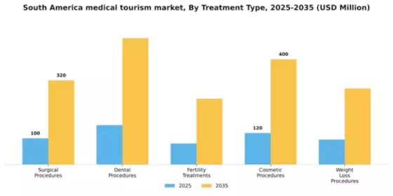 South America Medical Tourism Market Segment Image 3